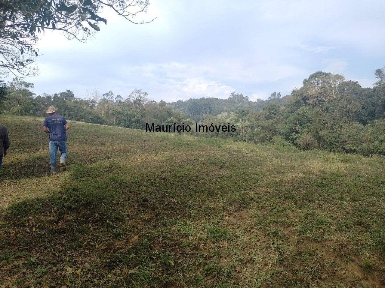 Fazenda à venda com 4 quartos, 20m² - Foto 65