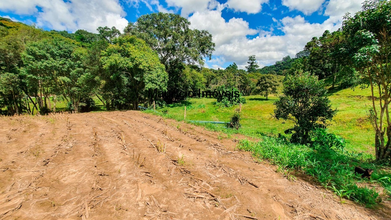 Fazenda à venda com 4 quartos, 20m² - Foto 22