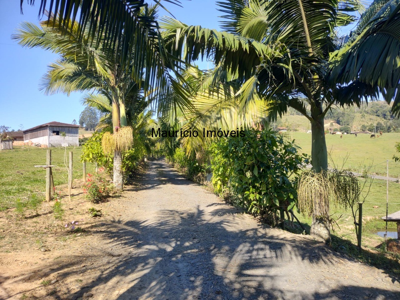 Chácara à venda com 3 quartos, 20000m² - Foto 21