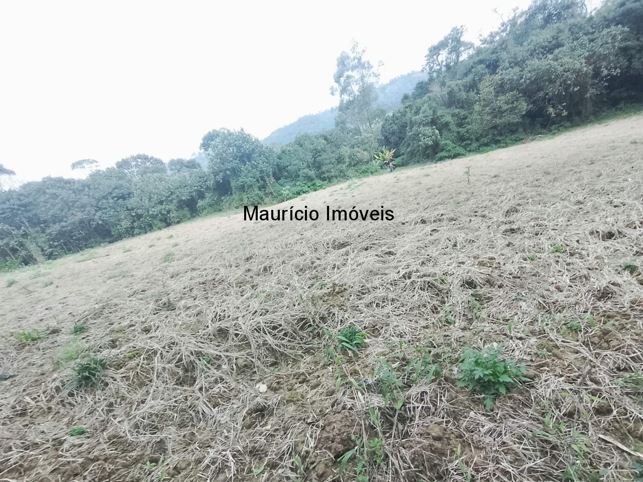 Fazenda à venda com 4 quartos, 20m² - Foto 53