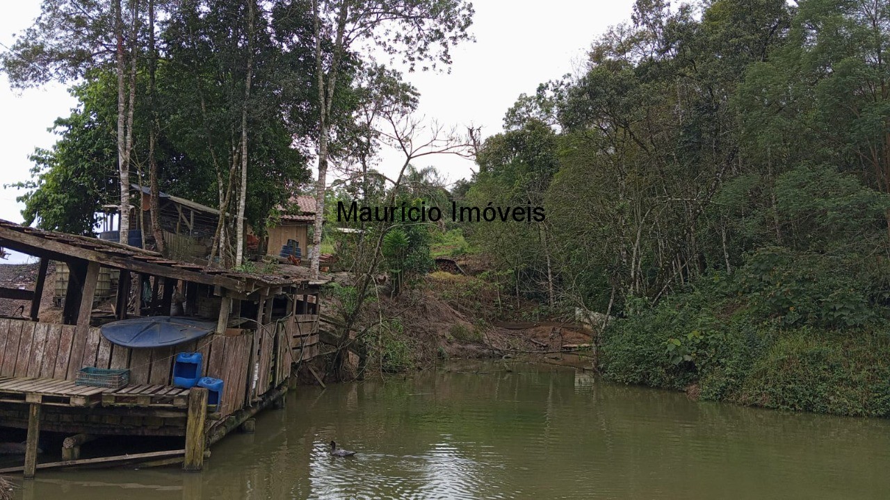 Fazenda à venda com 3 quartos, 3000m² - Foto 12