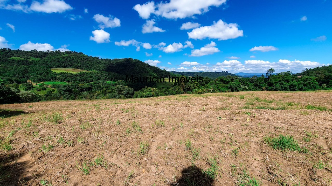 Fazenda à venda com 4 quartos, 20m² - Foto 35