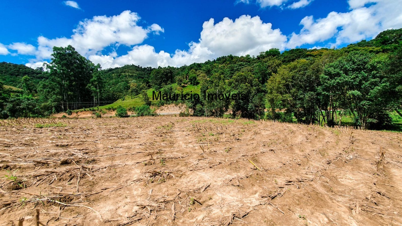 Fazenda à venda com 4 quartos, 20m² - Foto 17