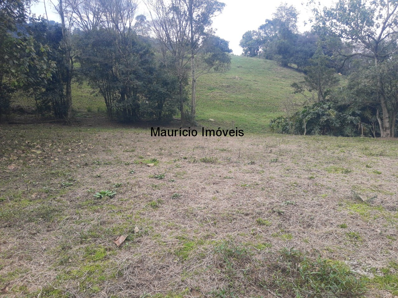 Fazenda à venda com 4 quartos, 20m² - Foto 42