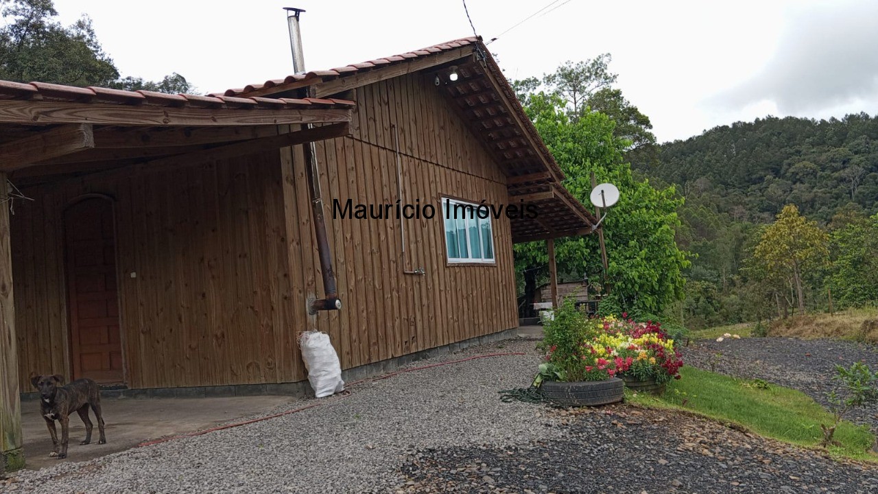 Fazenda à venda com 3 quartos, 3000m² - Foto 4