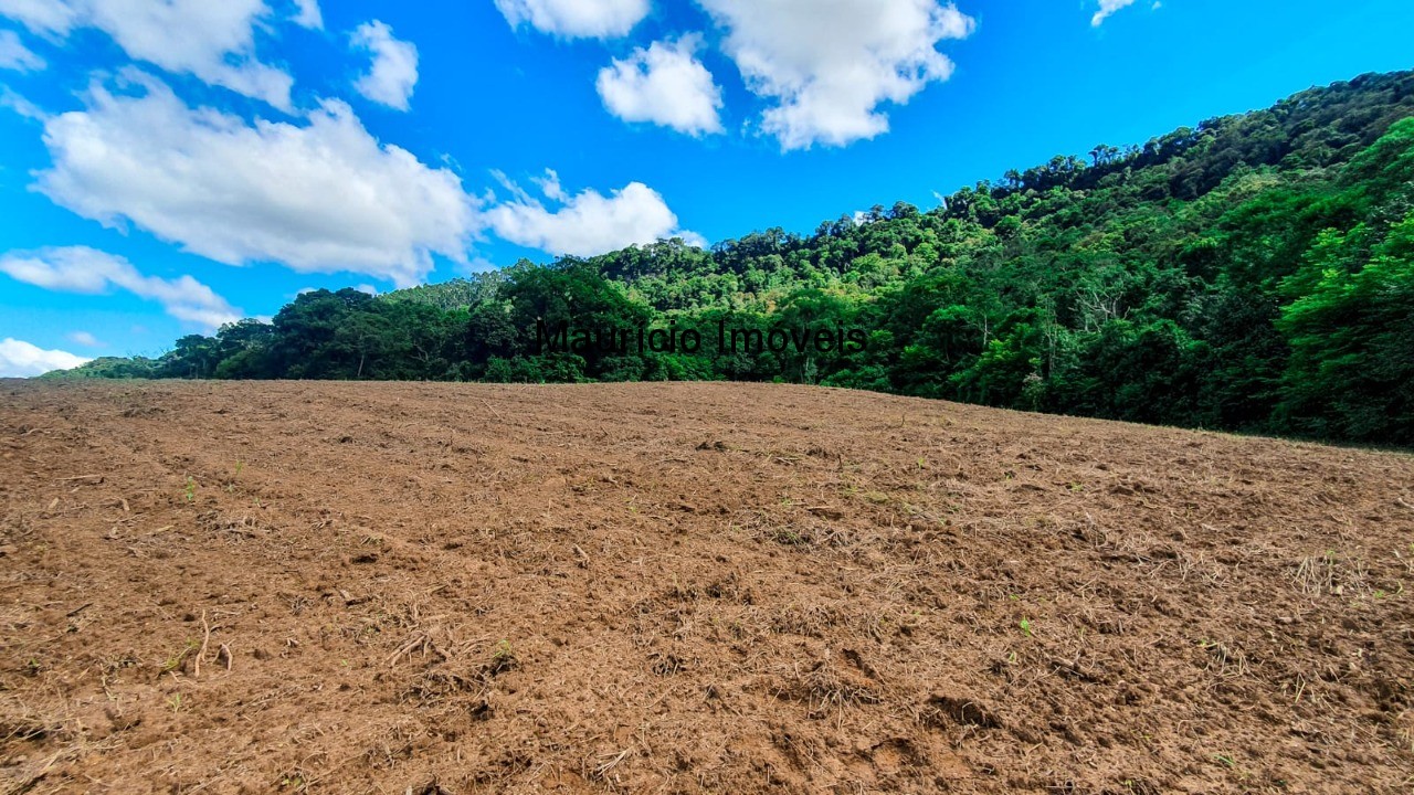 Fazenda à venda com 4 quartos, 20m² - Foto 31