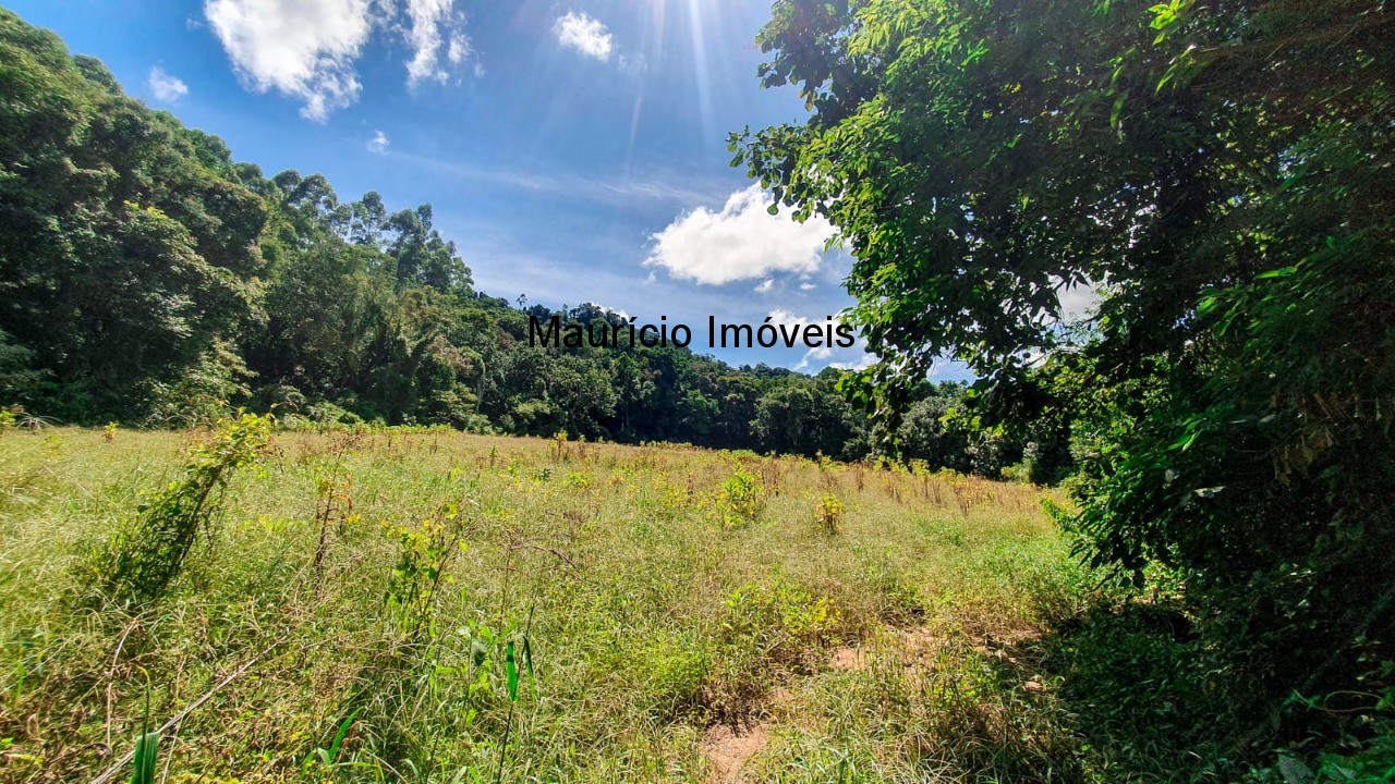 Fazenda à venda com 4 quartos, 20m² - Foto 34