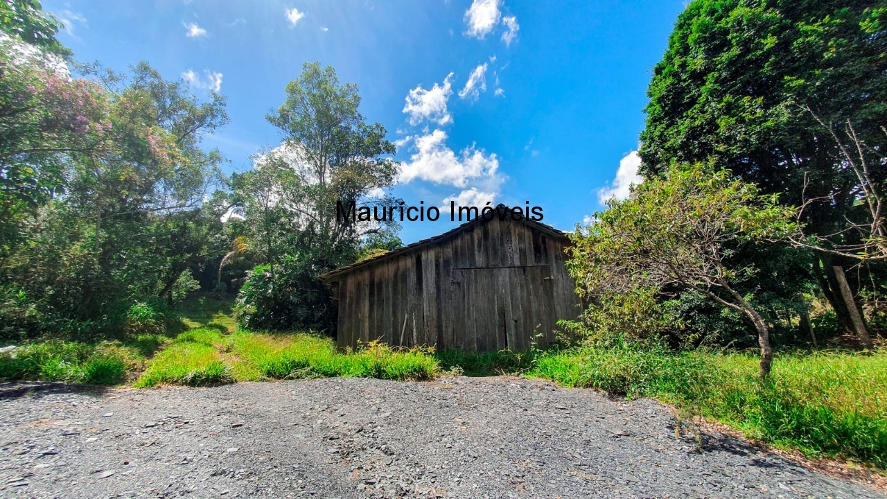 Fazenda à venda com 4 quartos, 20m² - Foto 8