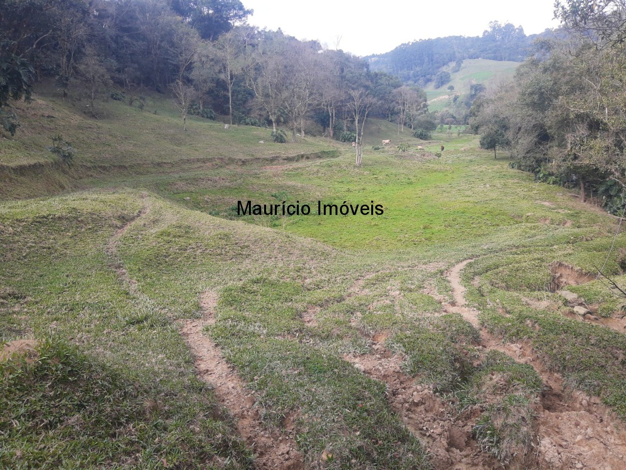 Fazenda à venda com 4 quartos, 20m² - Foto 43