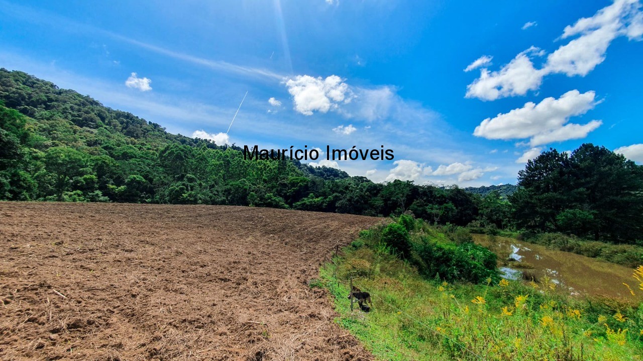 Fazenda à venda com 4 quartos, 20m² - Foto 27