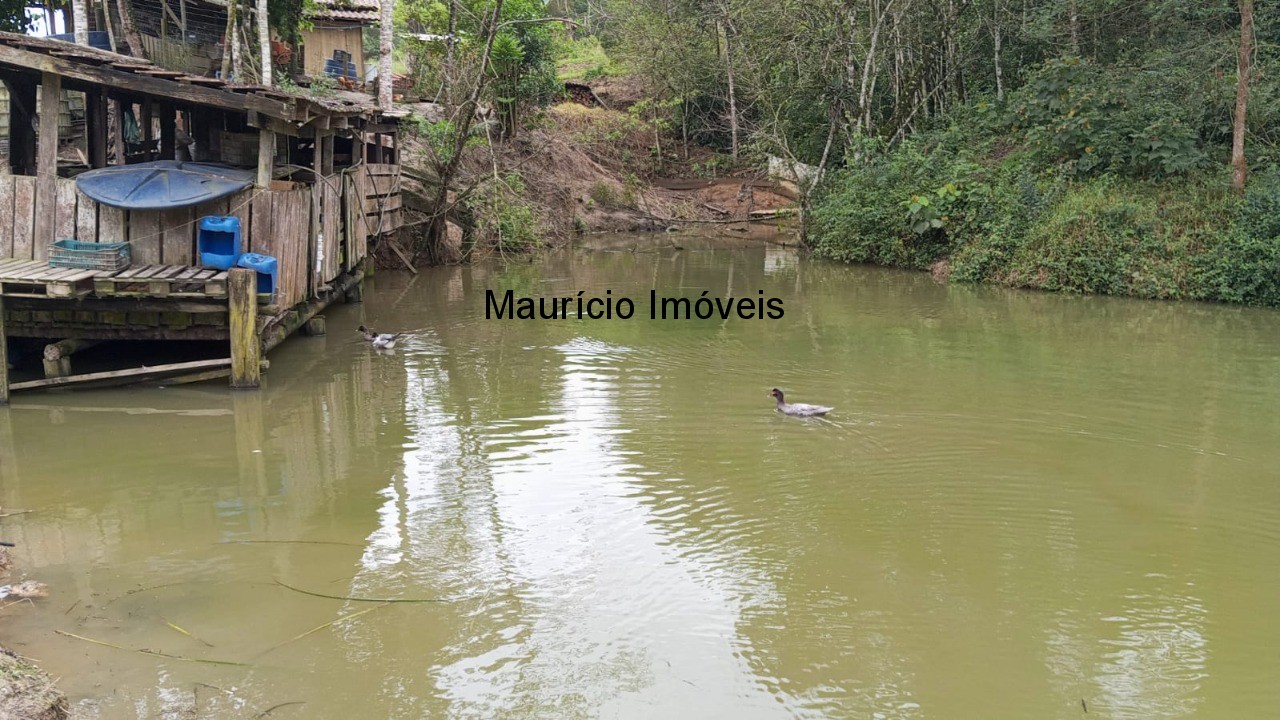 Fazenda à venda com 3 quartos, 3000m² - Foto 1