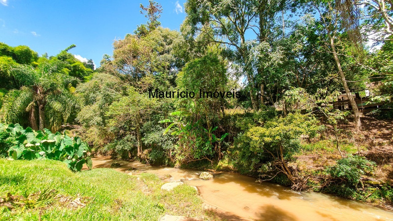 Fazenda à venda com 4 quartos, 20m² - Foto 6