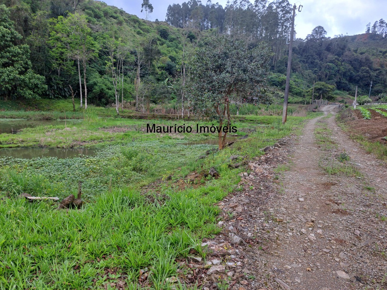 Fazenda à venda com 2 quartos, 75000m² - Foto 12