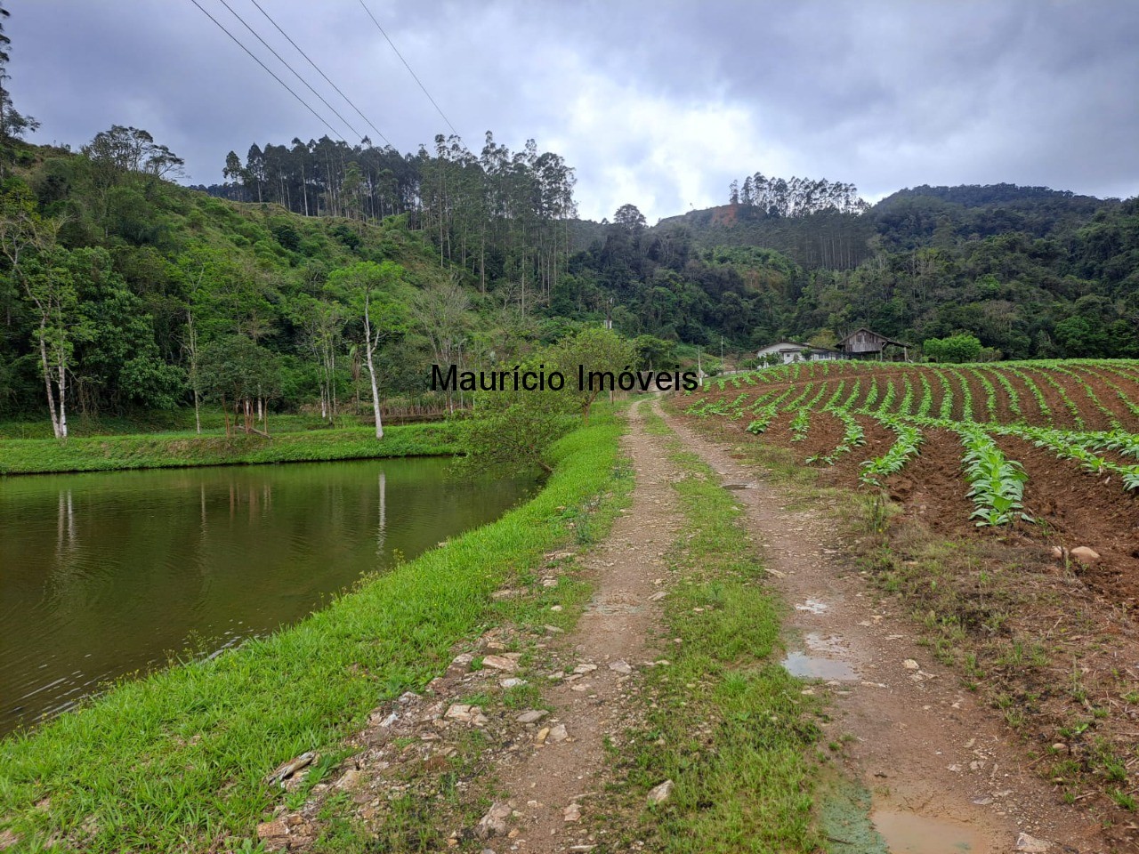 Fazenda à venda com 2 quartos, 75000m² - Foto 9