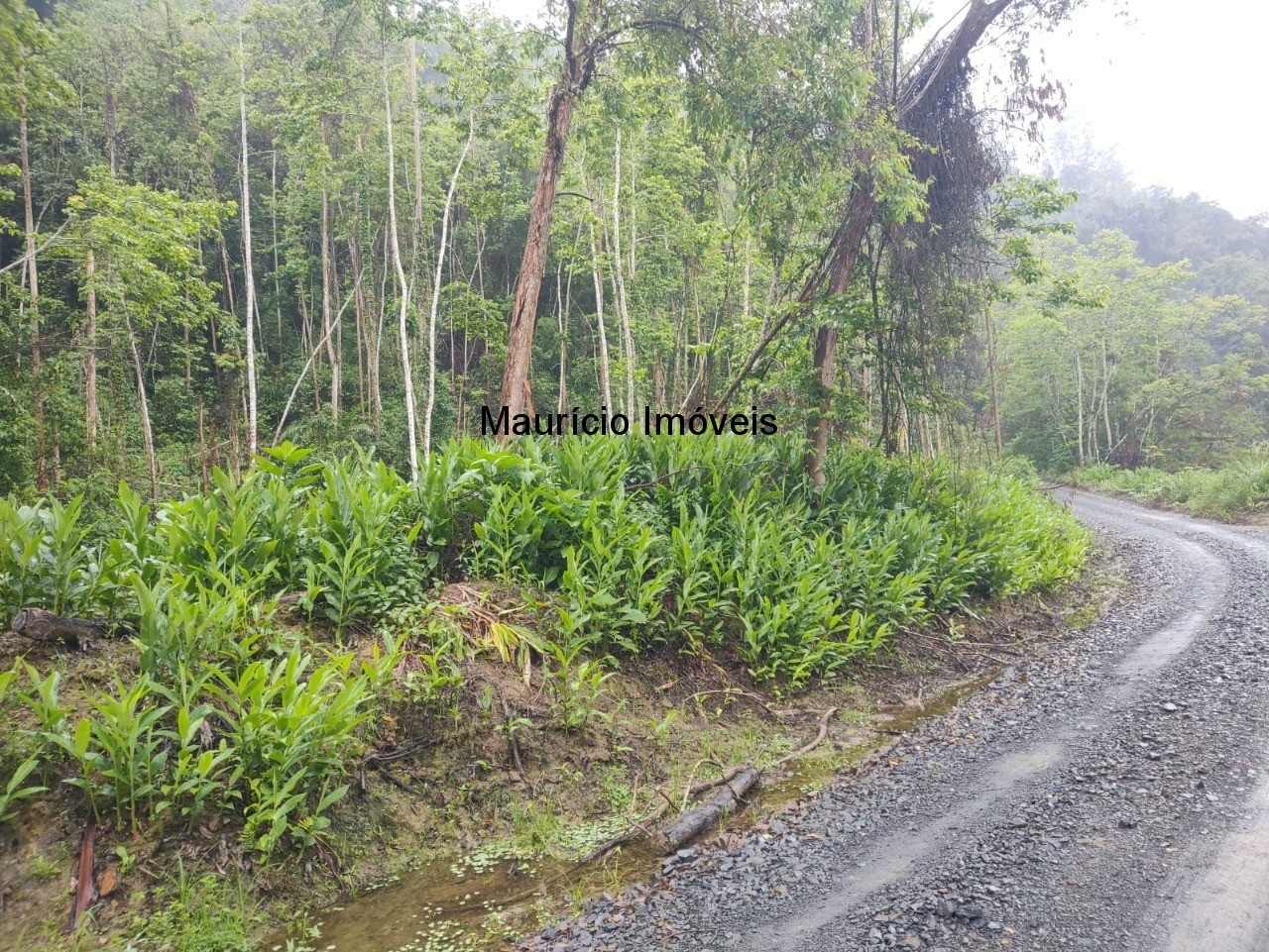 Fazenda à venda, 51m² - Foto 6