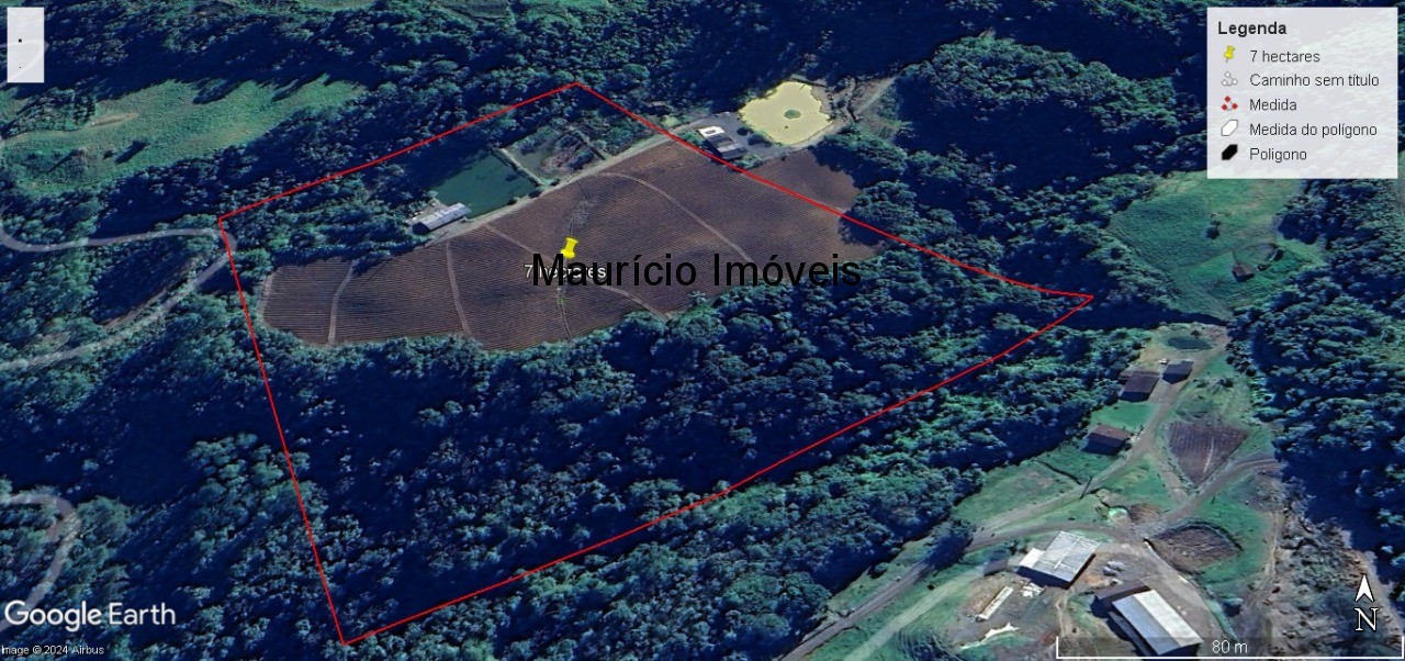 Fazenda à venda com 2 quartos, 75000m² - Foto 2