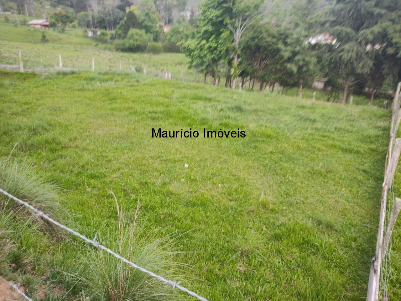 Terreno à venda, 431m² - Foto 7