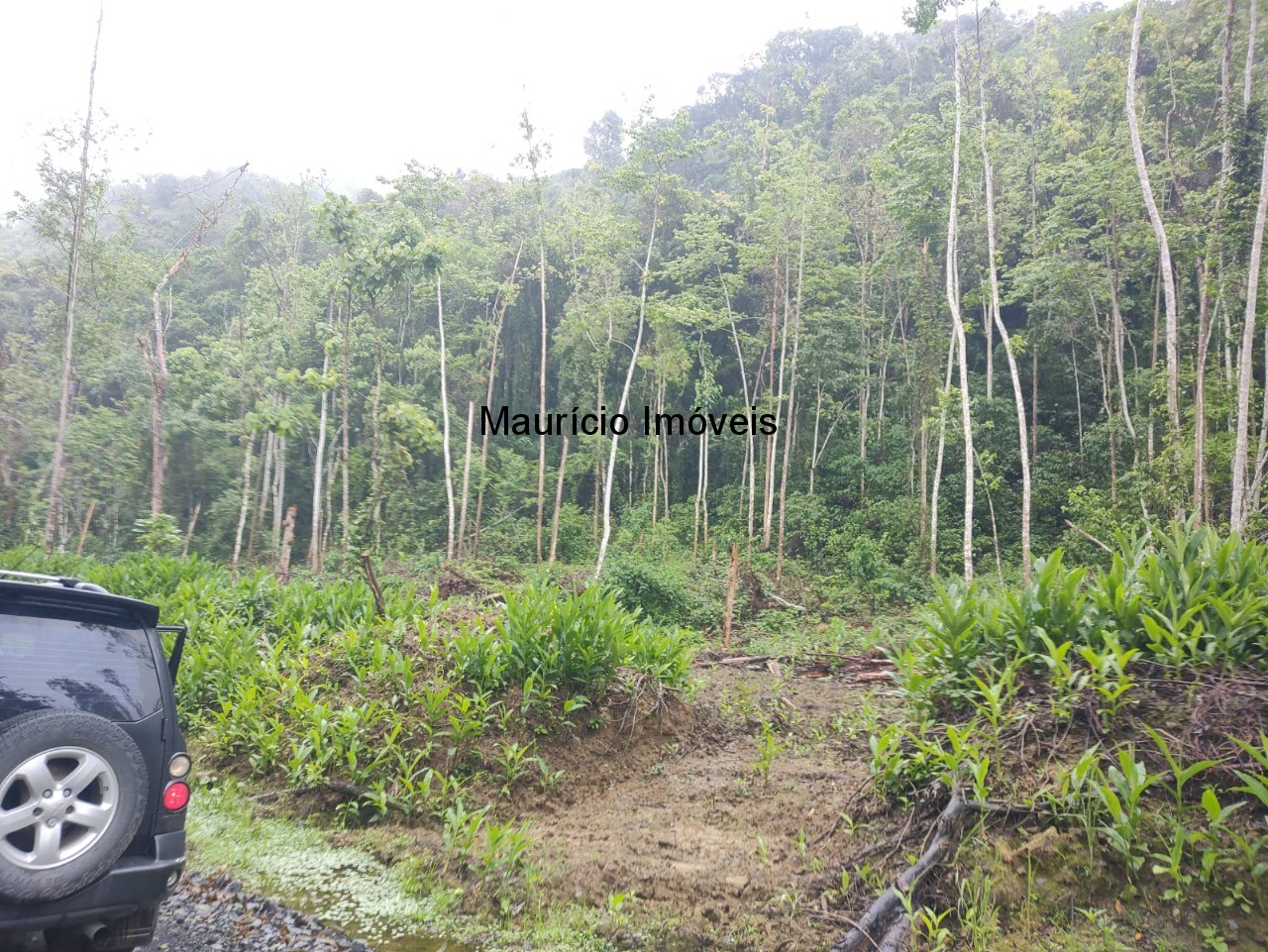 Fazenda à venda, 51m² - Foto 5