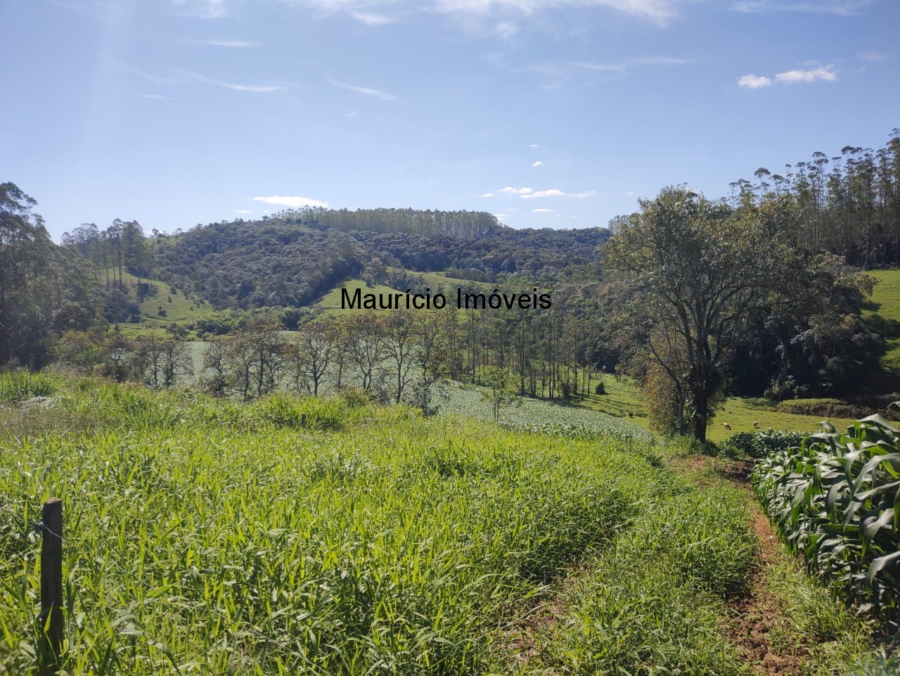 Fazenda à venda com 1 quarto, 35m² - Foto 1