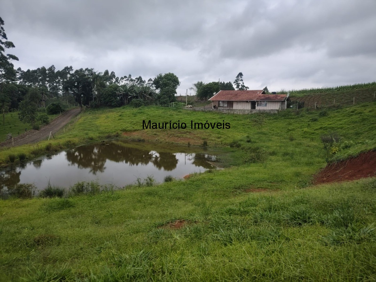 Fazenda à venda, 13m² - Foto 4