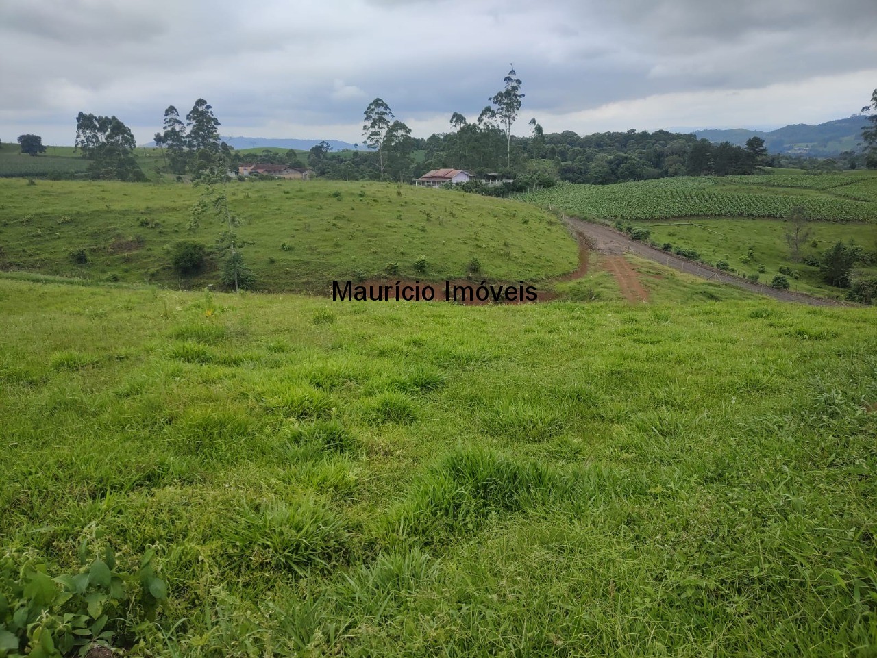 Fazenda à venda, 13m² - Foto 7