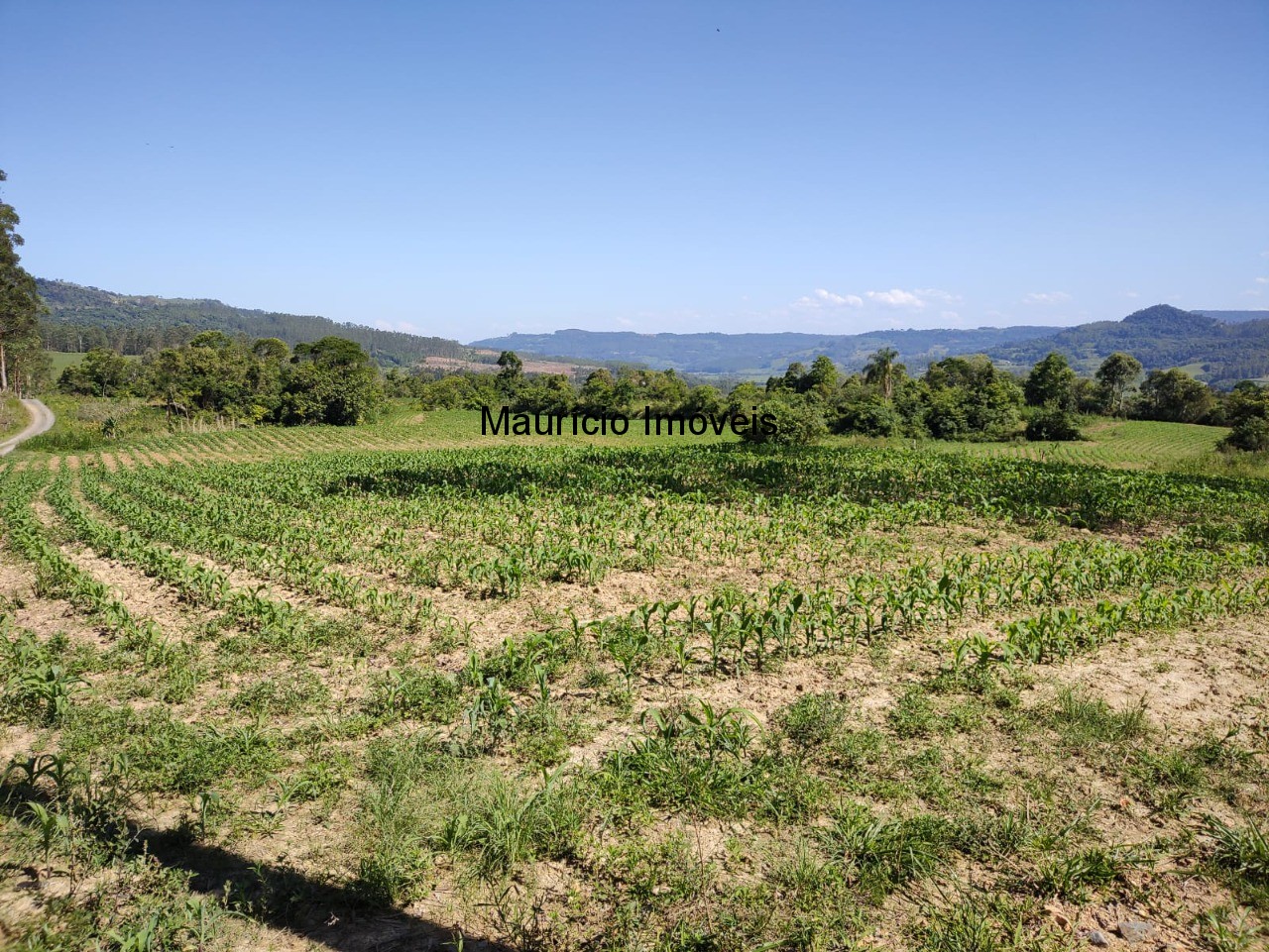Terreno à venda, 4m² - Foto 9