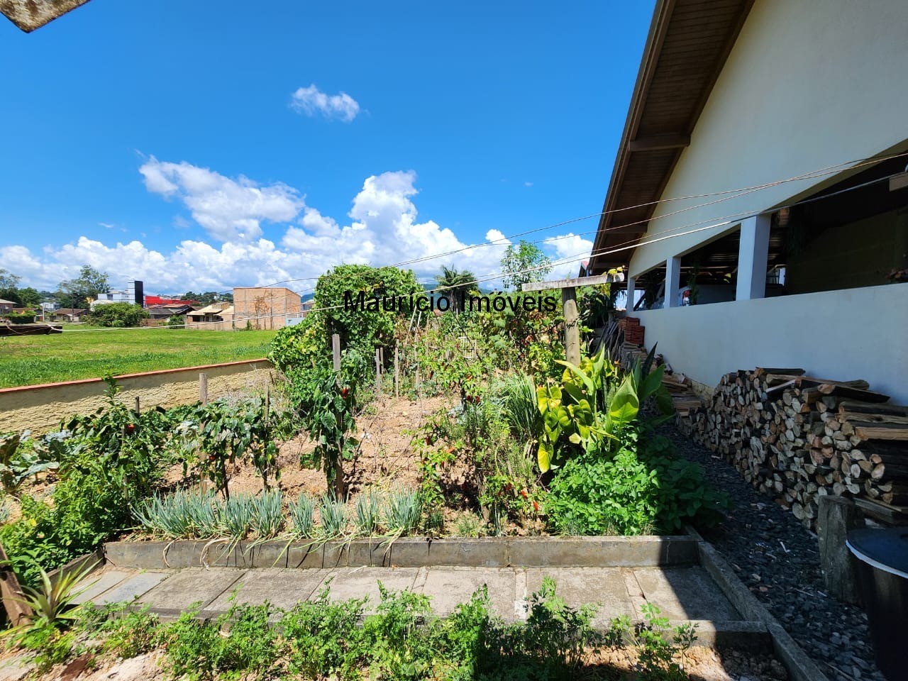 Casa, 3 quartos, 575 m² - Foto 5