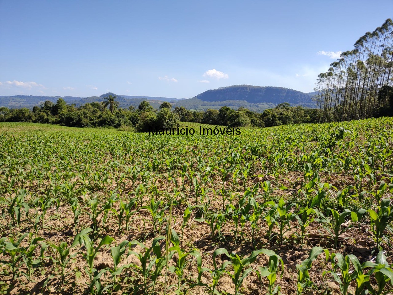 Terreno à venda, 4m² - Foto 5