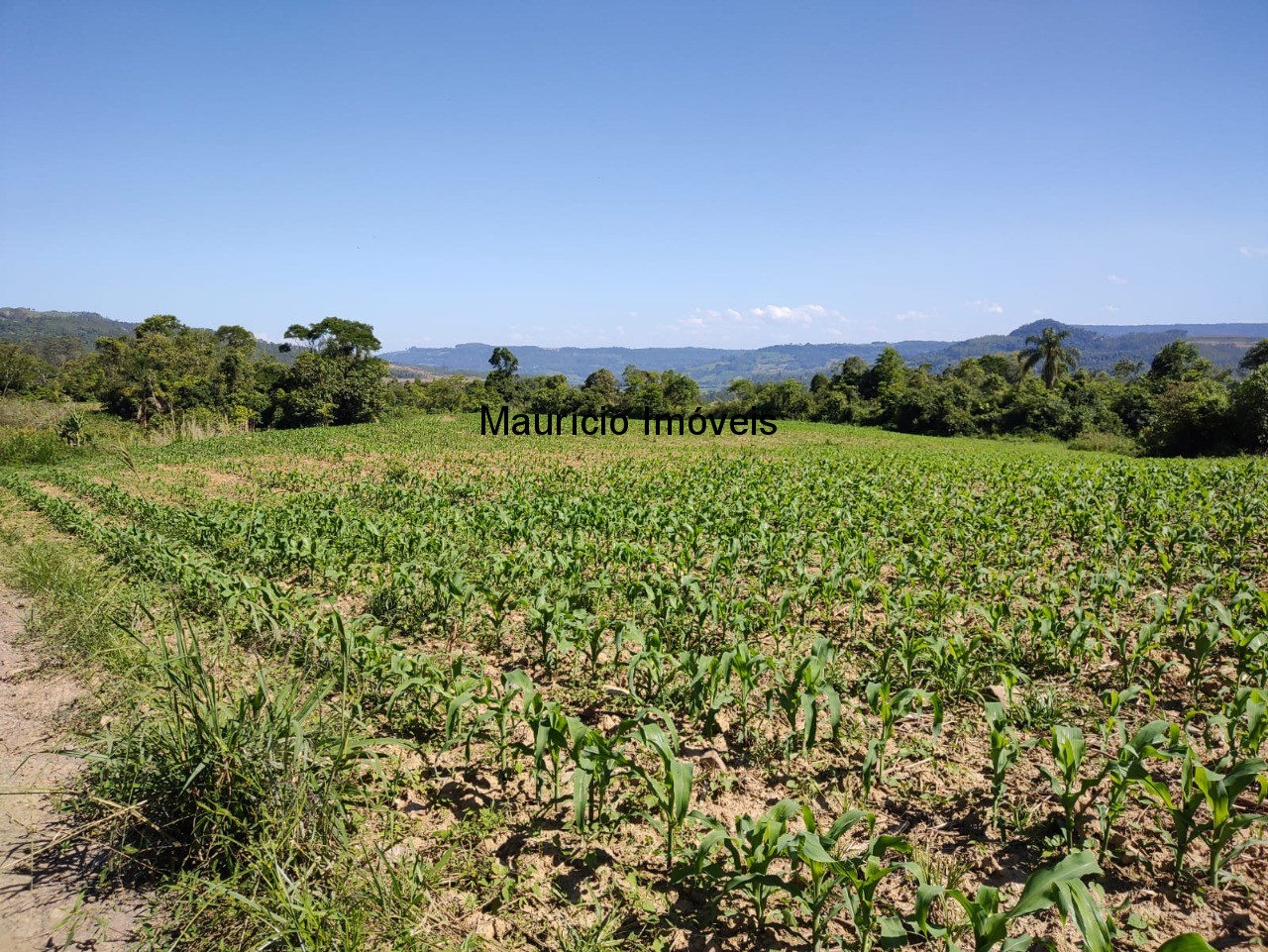 Terreno à venda, 4m² - Foto 4