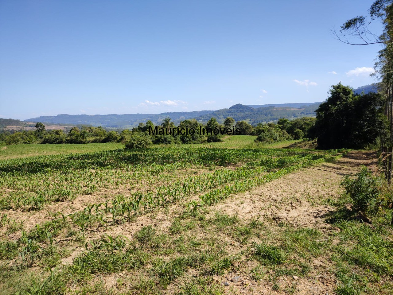 Terreno à venda, 4m² - Foto 11