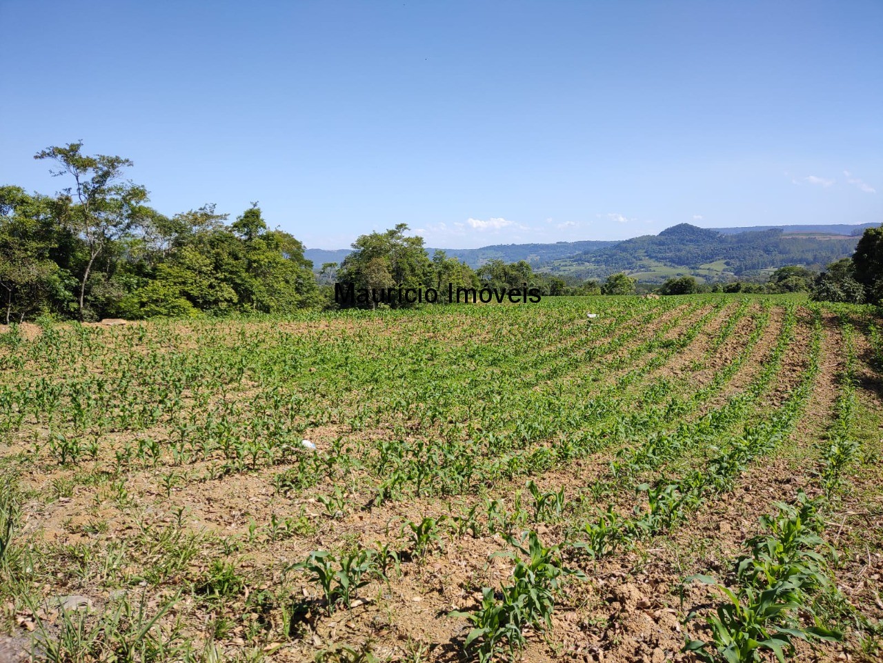 Terreno à venda, 4m² - Foto 2