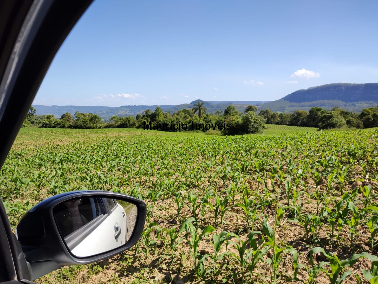 Terreno à venda, 4m² - Foto 6