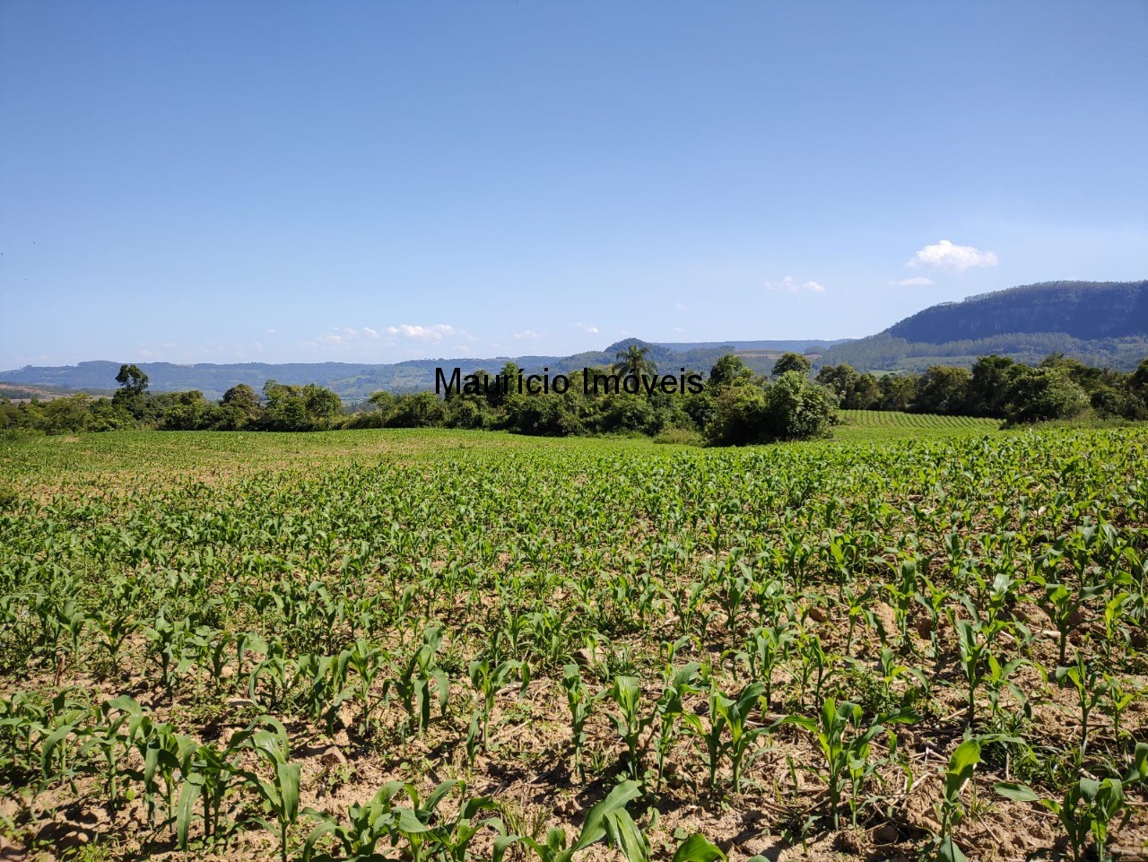 Terreno à venda, 4m² - Foto 3
