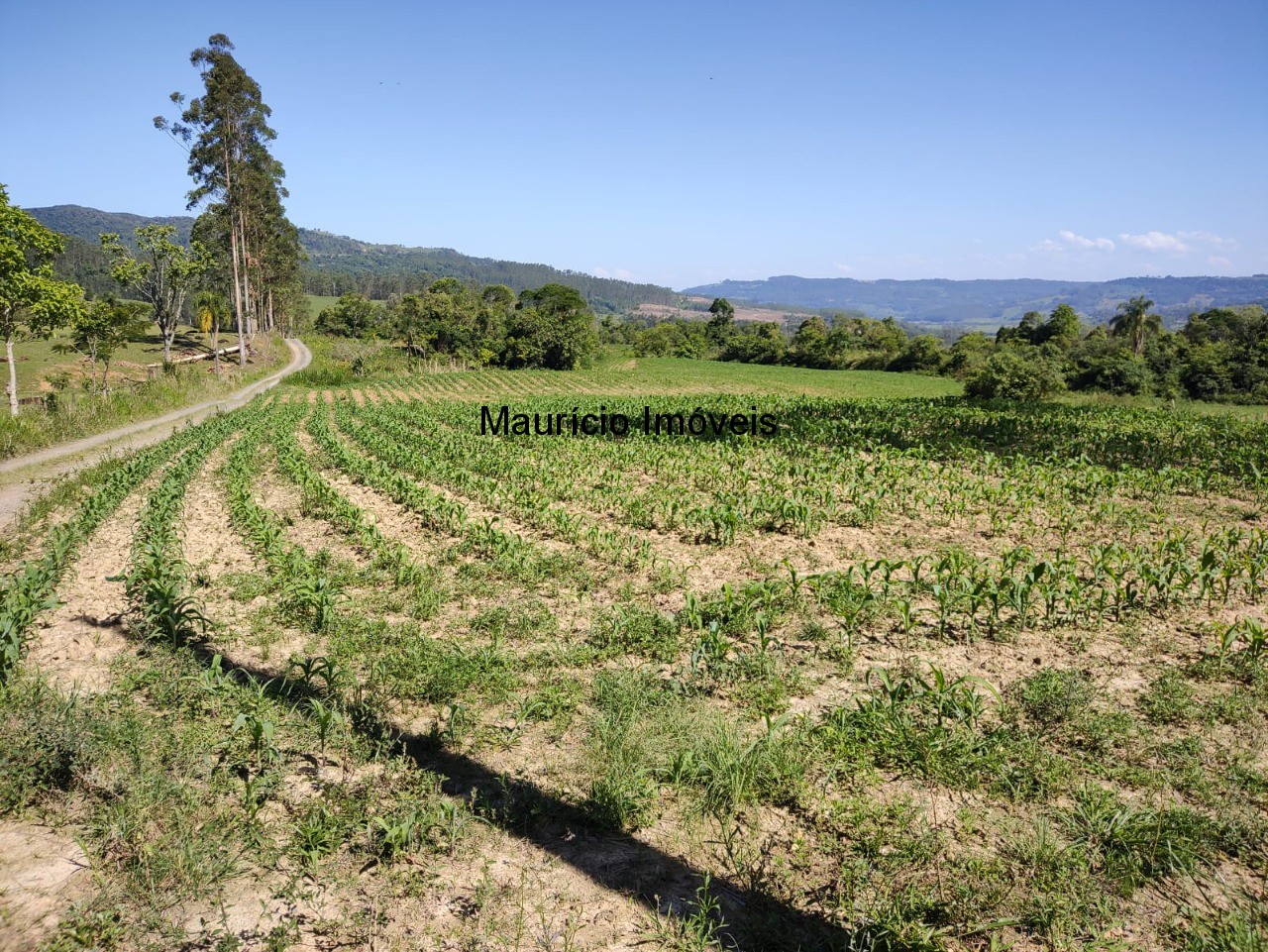 Terreno à venda, 4m² - Foto 10