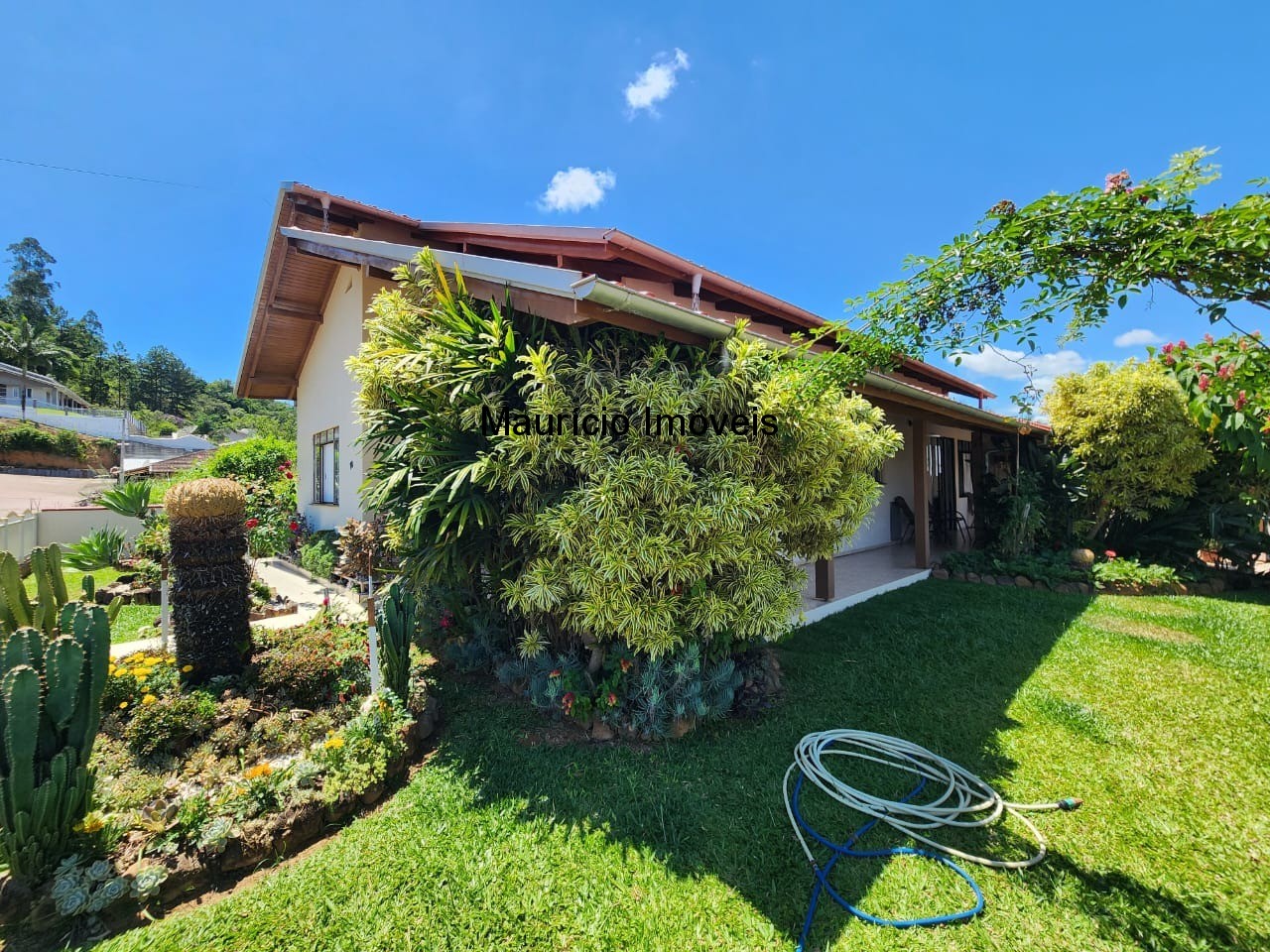 Casa, 3 quartos, 575 m² - Foto 3