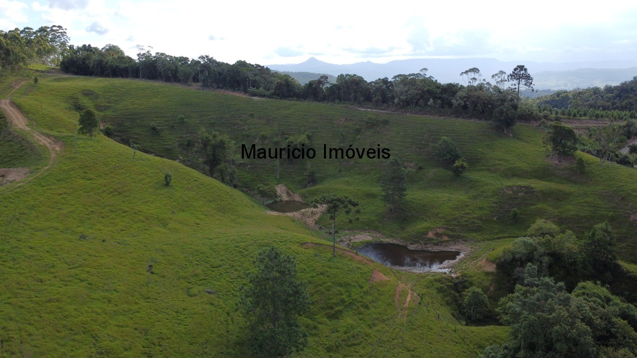 Terreno à venda, 10m² - Foto 2