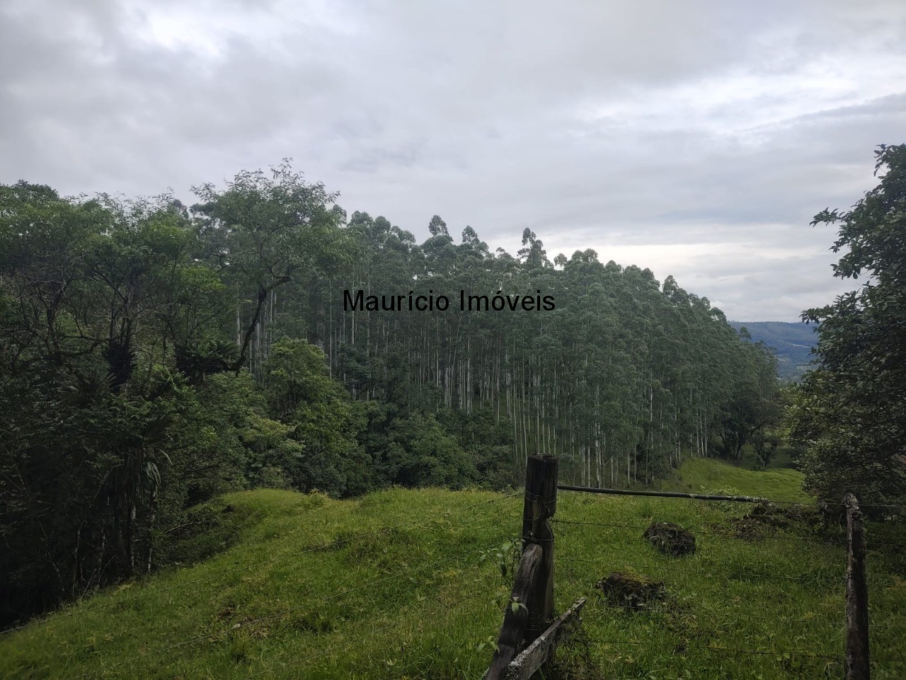 Sítio à venda com 3 quartos, 50m² - Foto 16
