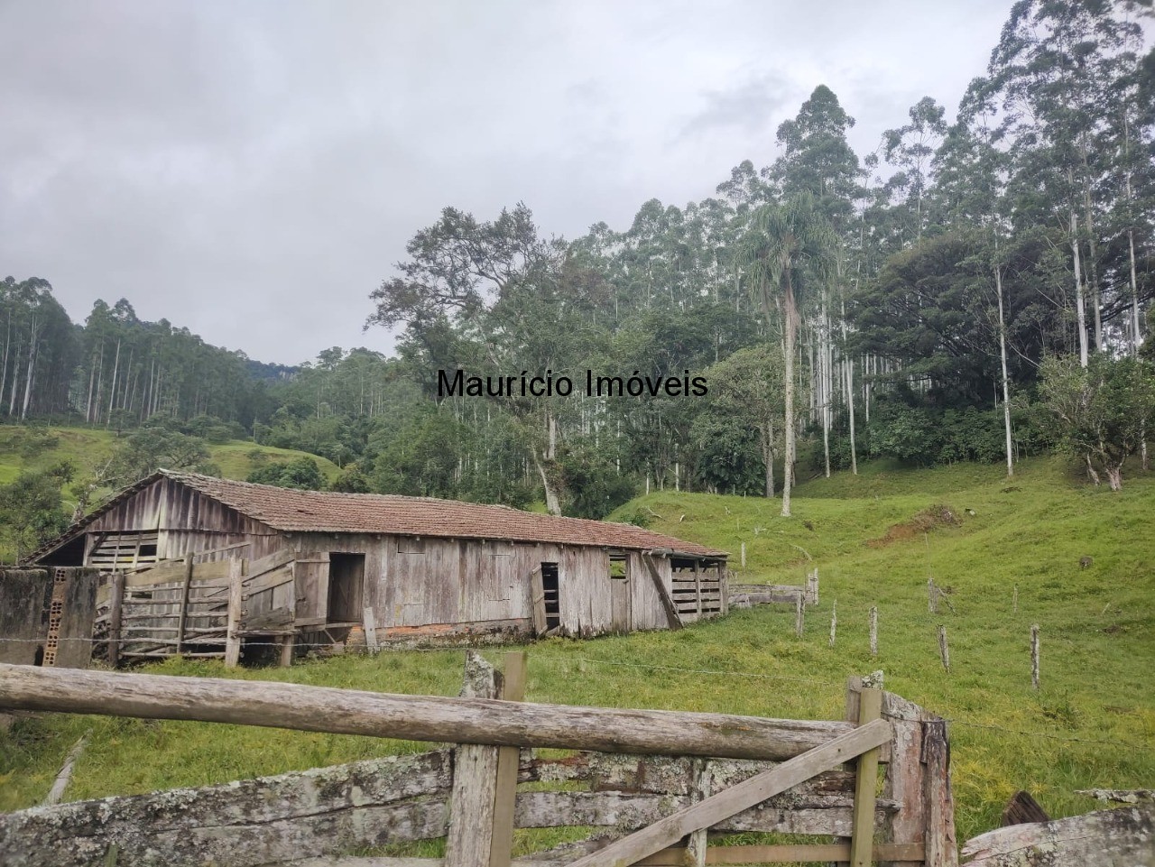 Sítio à venda com 3 quartos, 50m² - Foto 2