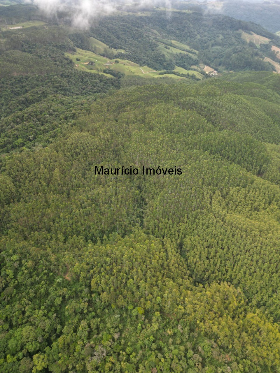 Sítio à venda, 156m² - Foto 38