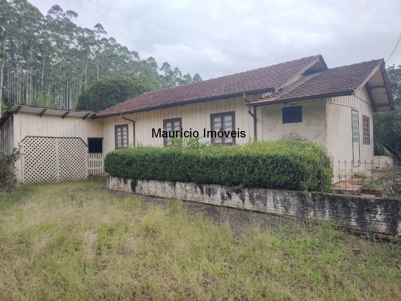 Sítio à venda com 3 quartos, 50m² - Foto 4
