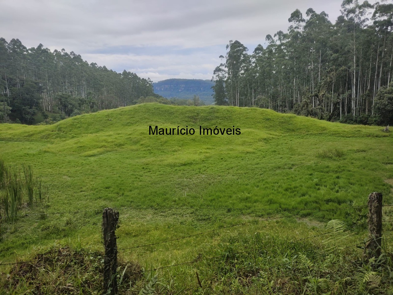 Sítio à venda com 3 quartos, 50m² - Foto 10