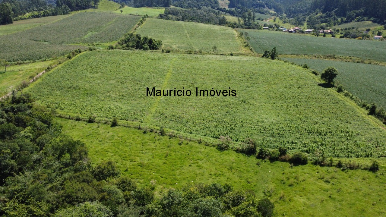 Fazenda à venda com 1 quarto, 25m² - Foto 11