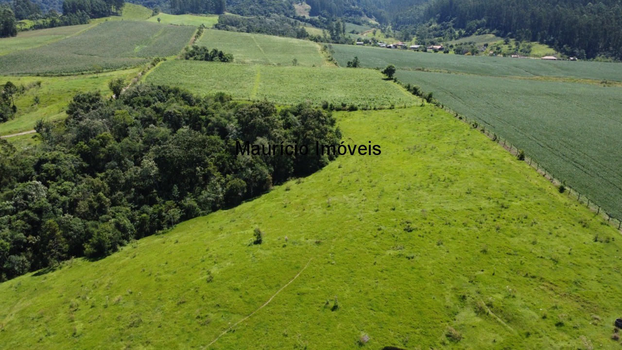Fazenda à venda com 1 quarto, 25m² - Foto 10