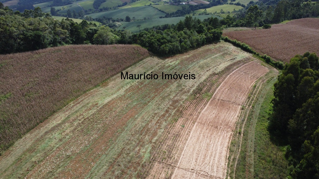Sítio à venda, 4m² - Foto 6