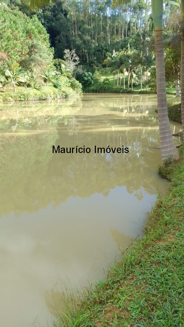 Sítio, 3 quartos, 4 hectares - Foto 1