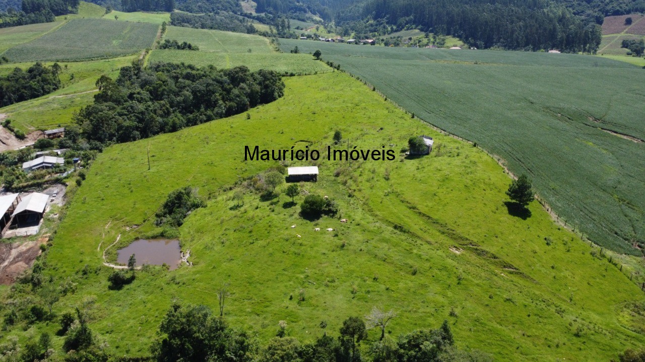Fazenda à venda com 1 quarto, 25m² - Foto 6