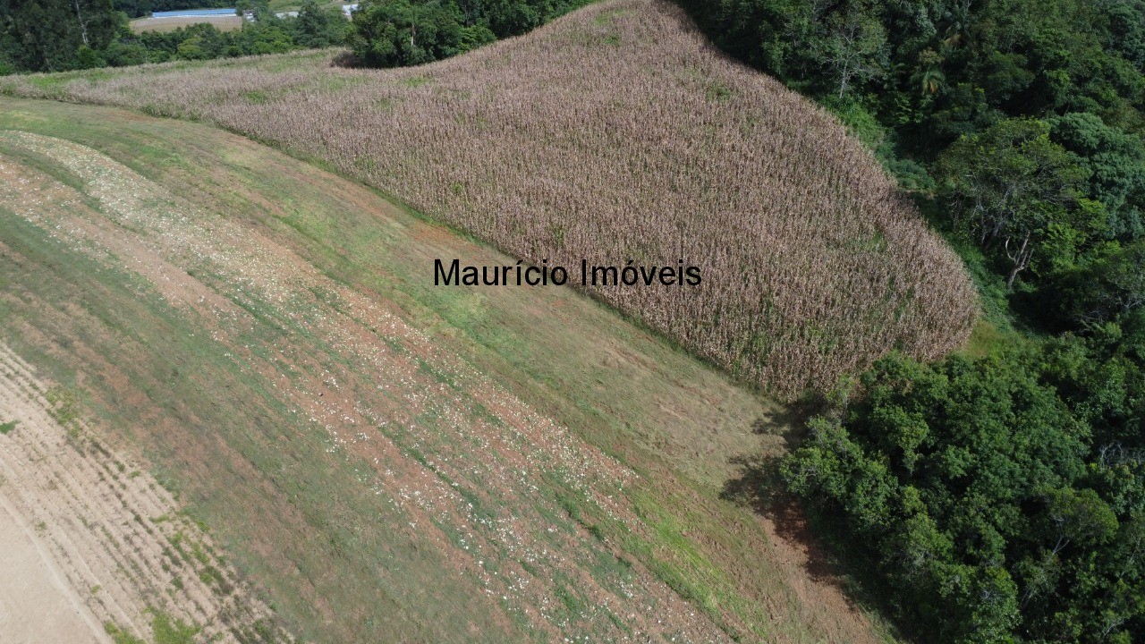 Sítio à venda, 4m² - Foto 11