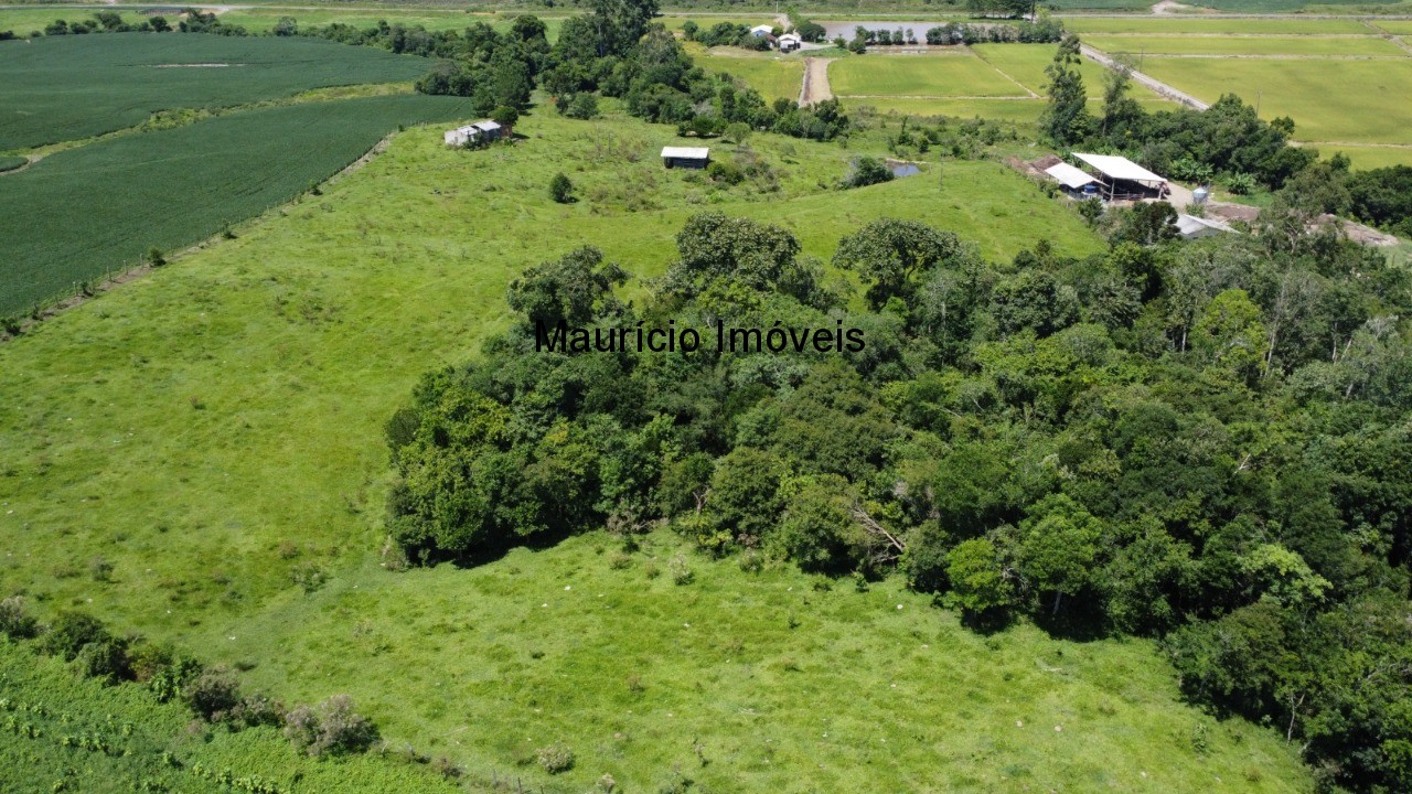 Fazenda à venda com 1 quarto, 25m² - Foto 24