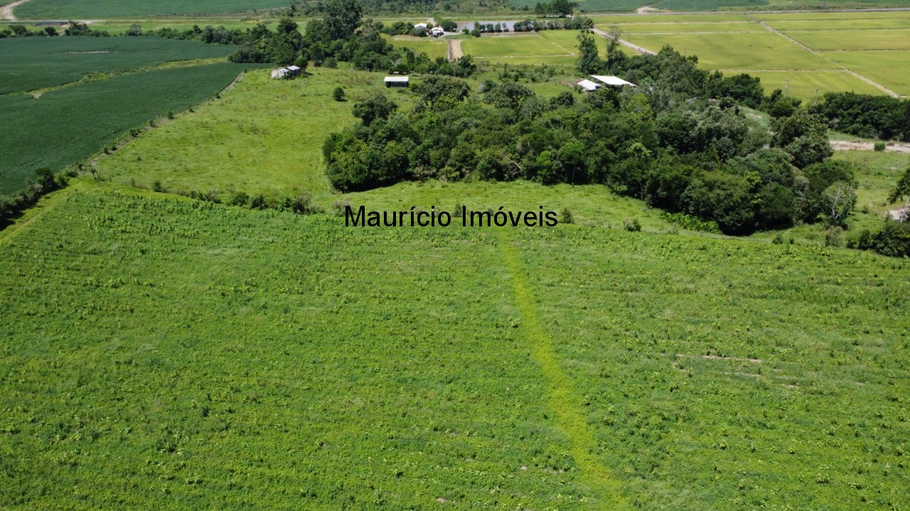 Fazenda à venda com 1 quarto, 25m² - Foto 26