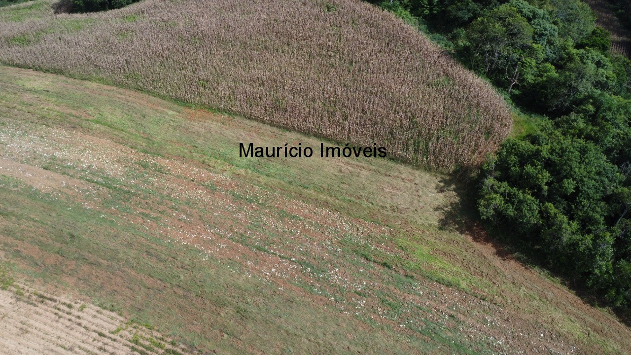 Sítio à venda, 4m² - Foto 10